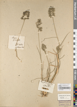 LE 01183837