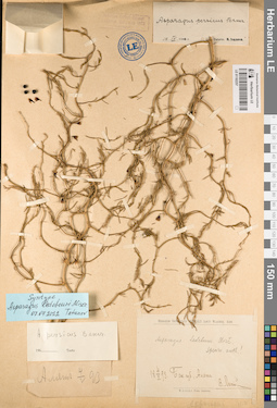 LE 01182257