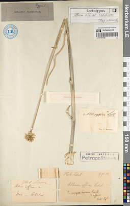 LE 01191162