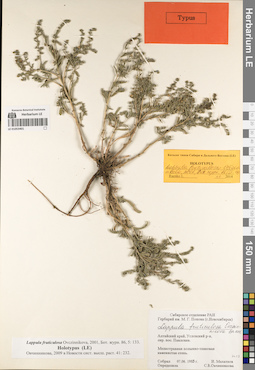 LE 01053401
