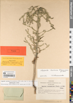 LE 01053406