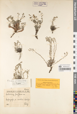 LE 01053435