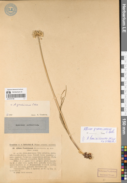 LE 01191188
