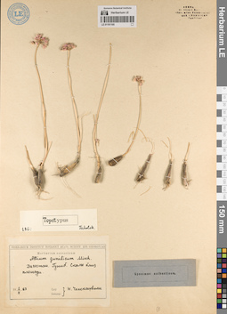 LE 01191195