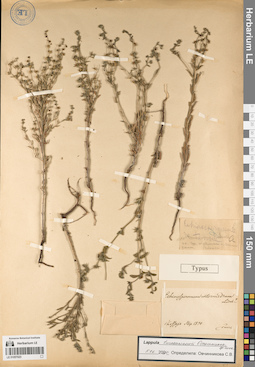 LE 01057023