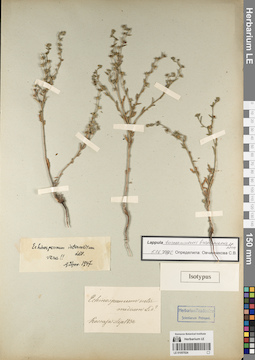 LE 01057024
