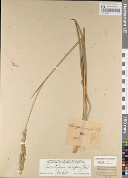 LE 01183908