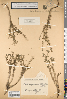 LE 01057025