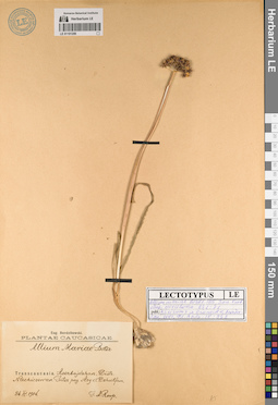 LE 01191209