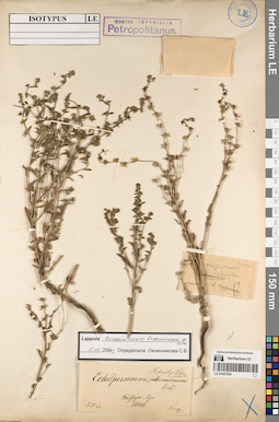 LE 01057028