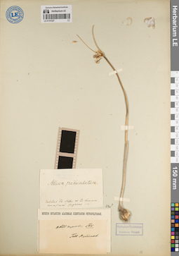 LE 01191227