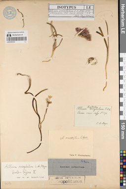 LE 01191212