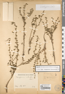 LE 01057033