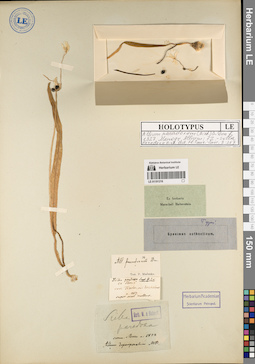 LE 01191216