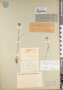 LE 01191238