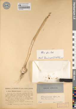 LE 01191240