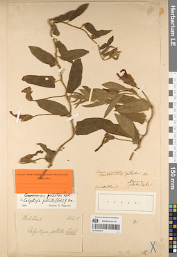 LE 01053374