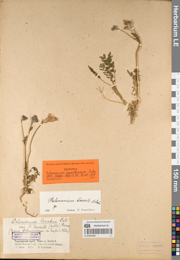 LE 01053382