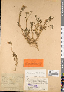 LE 01053383