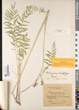 LE 01053385