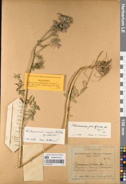 LE 01053387