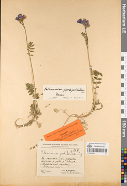 LE 01053391