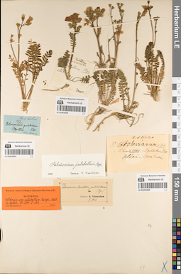 LE 01053395