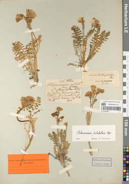 LE 01053397