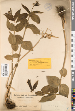 LE 01057157
