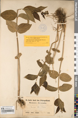 LE 01057158