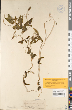 LE 01057166