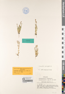 LE 01057168
