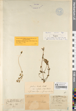 LE 01057170