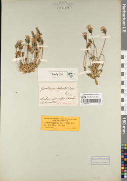 LE 01057174