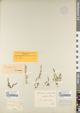 LE 01057186
