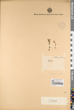 LE 01057187