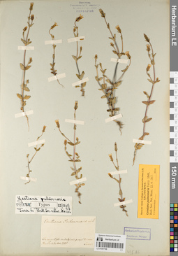 LE 01057188