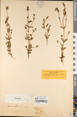 LE 01057190