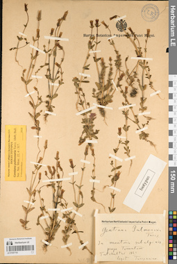 LE 01057193