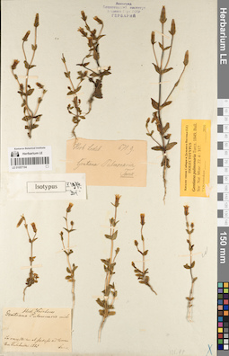 LE 01057194