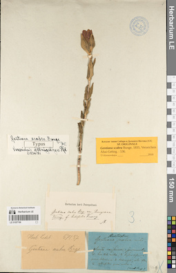 LE 01057196