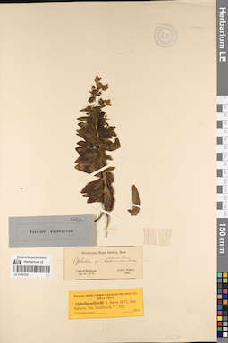 LE 01057202