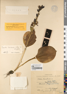 LE 01057203