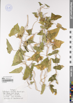 LE 01081989