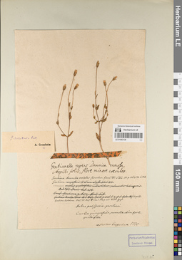 LE 01083138
