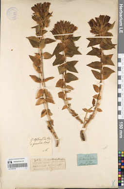 LE 01083140