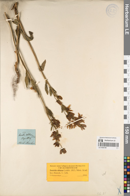 LE 01083148