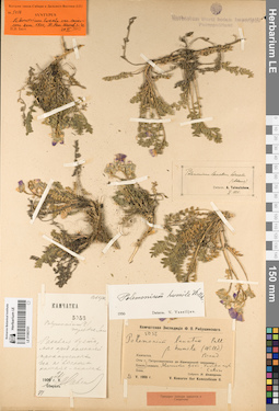LE 01083151