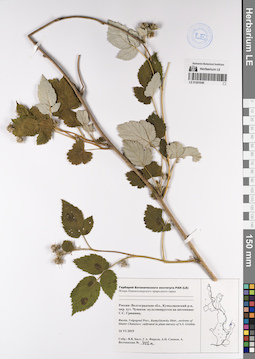 LE 01201046
