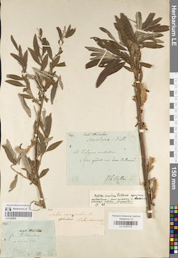 LE 01209928